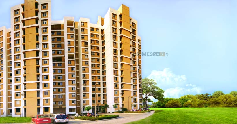North Town Ekanta Cover Image 